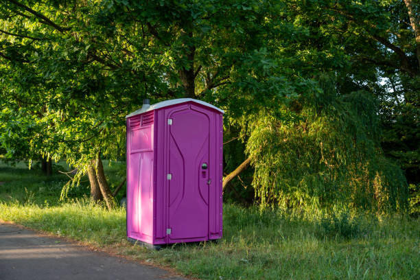 Best Affordable porta potty rental  in Mills River, NC